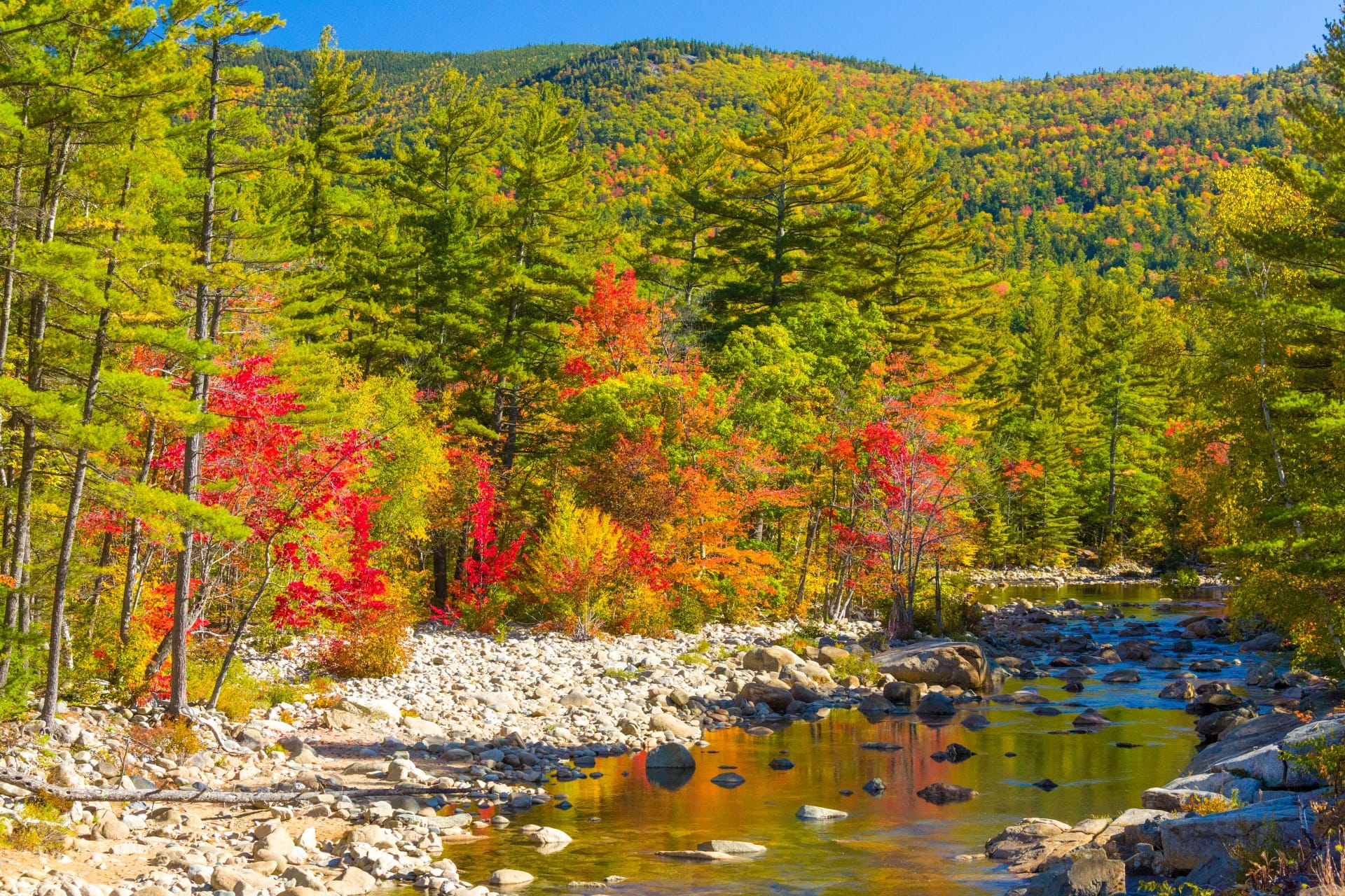 White Mountains